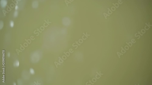 Muted yellow green background