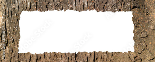 Horizontal Tree Bark Border Frame with Rough Natural Wood Texture Isolated on Transparent Background