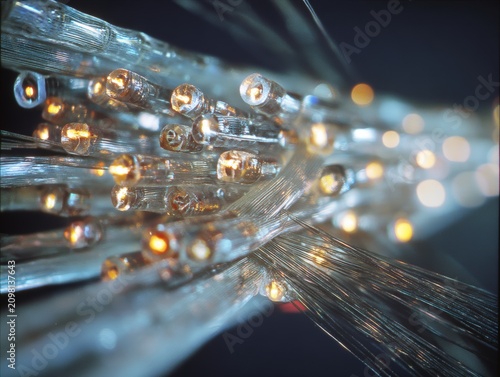 Macro view of glowing fish ...
