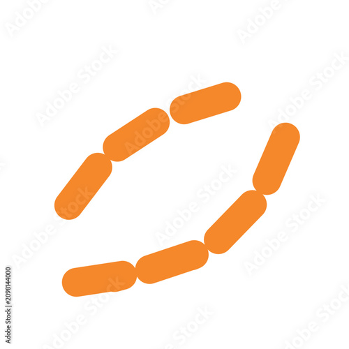 Flat bacillus bacteria icon isolated on white background. Rod shaped microorganism illustration for healthcare, biology, microbiology and medical education