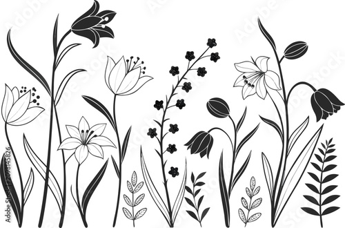 Black and white floral illustration with various flowers and leaves
