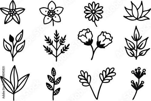 Black and white line drawing of various flowers and leaves