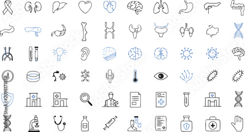 Human Organs Icon Set with Kidney Liver Heart Brain and Body Anatomy Symbols Vector