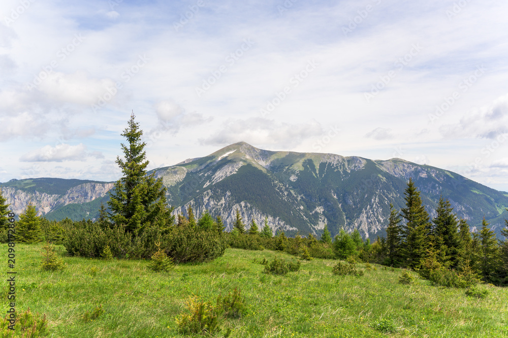 Fototapeta premium A stunning view of Rax Mountain in Austria showcases lush green hills under a bright blue sky with fluffy clouds, with dense greenery and bushes in the foreground while the mountains rise