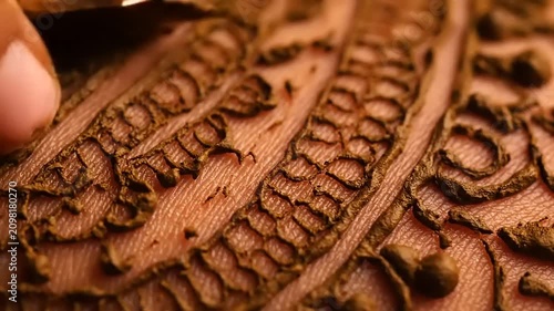 Captivating close-up of intricate decorative patterns being meticulously created on the skin, showcasing the detailed artistry and cultural beauty of traditional body adornment