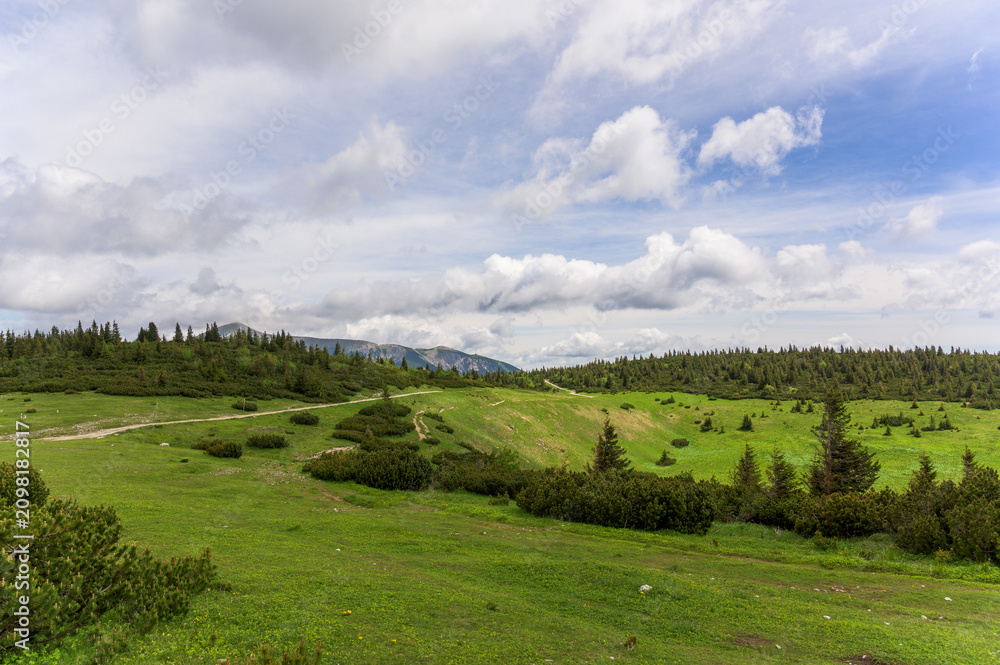 Obraz premium A vibrant green landscape at Rax Austria showcases rolling meadows with patches of wildflowers under a dramatic cloudy sky, with the foreground rich in lush grass and scattered shrubbery, while