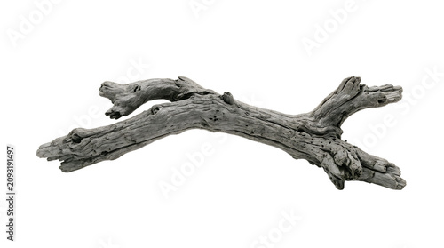 Weathered Gray Driftwood Branch with Intricate Texture and Knots PNG Isolated on transparent background