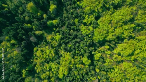 A lush green forest from an aerial view, showcasing dense foliage and vibrant landscape. The serene scenery captures the tranquility of nature, with no visible human presence.