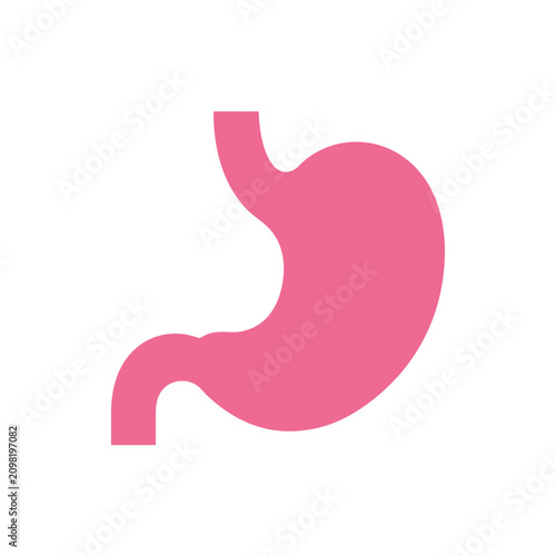 Isolated pink stomach icon on a white background, simple organ illustration for medical or digestive health concepts