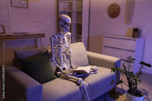 Human skeleton model with e...