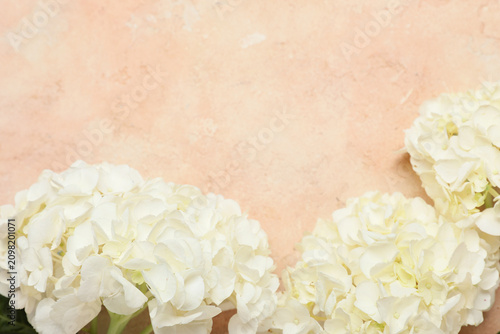 White hydrangea flowers on ...