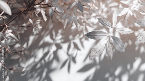 Elegant silver leaves casting intricate shadows creating a serene botanical scene