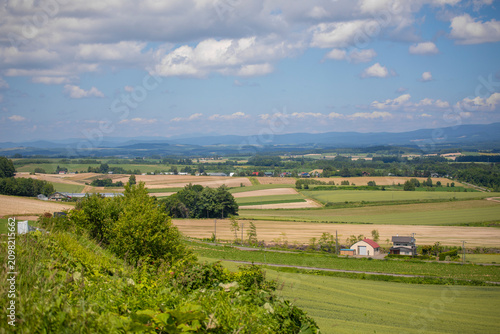A sunny summer day in Furano, Hokkaido, Japan, in July