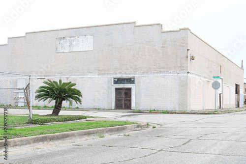 Cuadro en lienzo Port Arthur Texas Sago Palm Corner