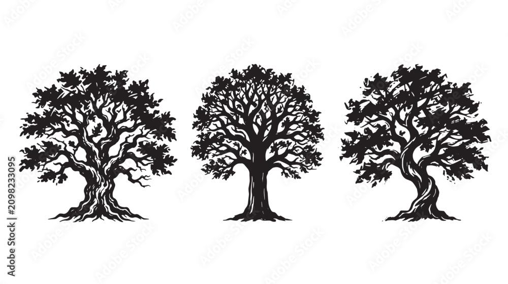 Fototapeta premium Set of three detailed graffiti black and white tree silhouettes featuring intricate branches and textured trunks, isolated on a clean white background, for use