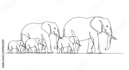 Fotografie Family of Elephants Walking in Line, Simple Outline Drawing, Minimalist Style
