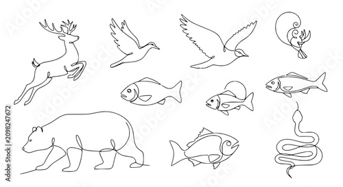 Foto Minimalist Line Art Animals Collection: Deer, Bear, Birds, Fish, Snake, Antlers