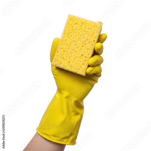 Person wearing a yellow rubber glove holding a clean yellow sponge for cleaning isolated on transparent background