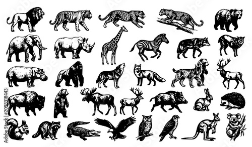 Canvas Print Hand Drawn Wild Animal Set in Dark Vintage Ink Sketch Style Vector Collection