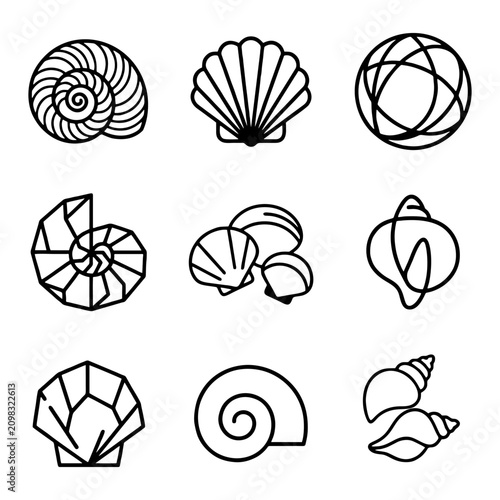 Collection of Aquatic Shell Forms Displayed as Distinct Line Art Icons Representing Marine Life and Ocean Treasures for Creative Design Projects and Natural Element Concepts