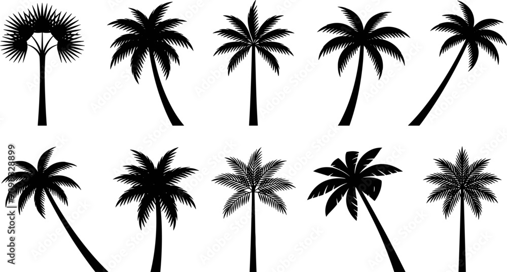 Fototapeta premium Set of black silhouette palm trees isolated on white background for tropical summer vacation designs