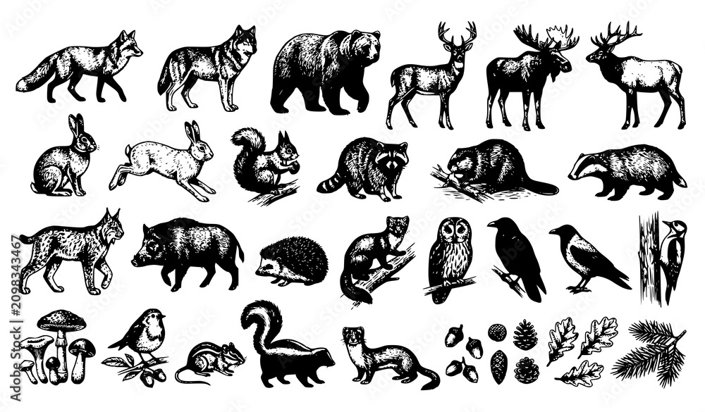 Obraz premium Premium Forest Wildlife Clipart Collection in Dark Vintage Monochrome Vector Style