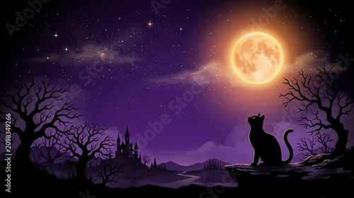 Black Cat Watching Full Moon Fantasy Background