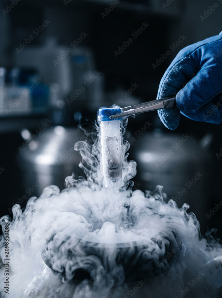Obraz premium Hand in protective glove using metal forceps to hold a frozen sample vial over vaporizing liquid nitrogen.