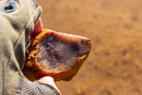 Принти на полотні Rough pinkish chalcedony concretion held in hand, showcasing a raw fractured sur