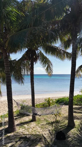 Hammock palm trees Fiji Islands Oarsmans Bay Nacula Yasawa 4K