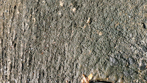 Foto Close-up of damp mossy concrete texture