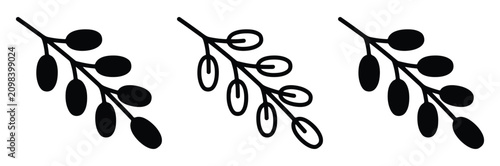 Tableau sur toile Olive branch and fresh olives plant twig vector icon set
