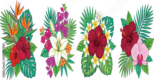 Foto Tropical floral bouquets vector set featuring exotic flowers bird of paradise lily hibiscus orchid frangipani and monstera palm leaves