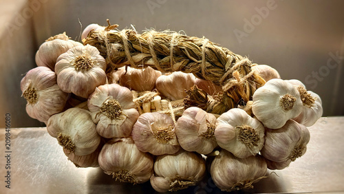 Group of Garlic clover put on background.Spices for cooking food,