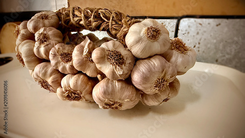 Group of Garlic clover put on background.Spices for cooking food,