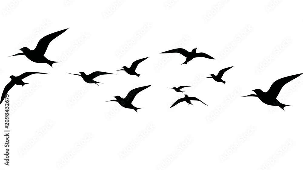 Fototapeta premium Flock of black birds in flight, isolated on transparent background