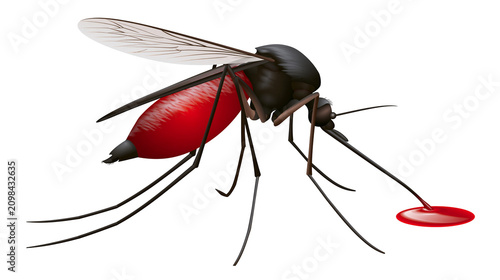 Tableau sur toile Mosquito with engorged red abdomen feeding on blood drop, isolated on transparen