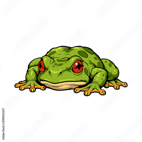 Frog Illustration design templates simple and modern
