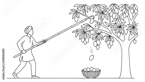 Photos Traditional mango harvesting, a farmer using a long stick to pick ripe mangoes from a tree, a basket of fresh fruit, agricultural labor vector illustration