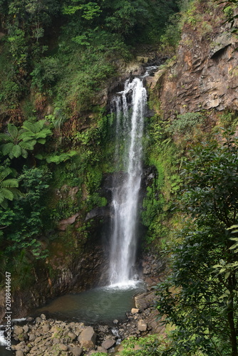 The beauty and romance of the Muncar Waterfall and the river in Petungkriyono, Pekalongan, Indonesia. The atmosphere at this waterfall is wonderfully cool.
