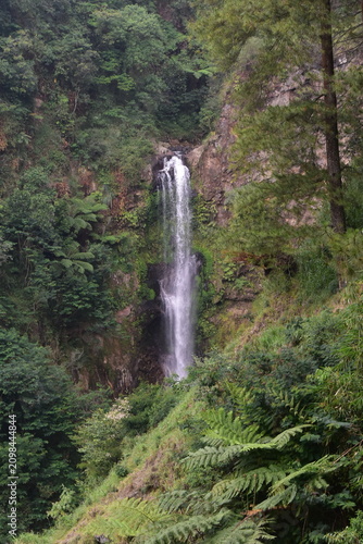 The beauty and romance of the Muncar Waterfall and the river in Petungkriyono, Pekalongan, Indonesia. The atmosphere at this waterfall is wonderfully cool.
