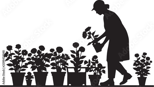 Silhouette of woman watering potted plants, gardening scene