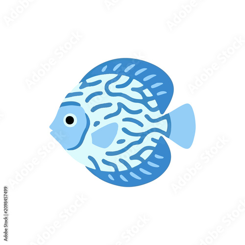 Colorful Fish Vector
