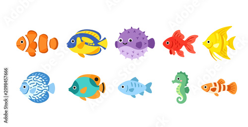 Freshwater and Saltwater Fish