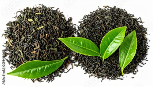 Fresh green leaves beside dried black tea piles