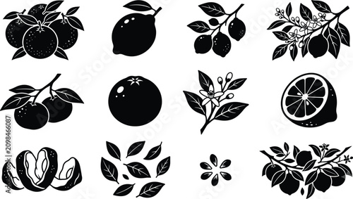 Stylized Citrus Fruit Silhouette Vector Collection Featuring Oranges, Lemons, Branches, Blossoms, Seeds, and Botanical Elements