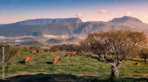 Vue sur le Piton des Neiges depuis la plaine des Cafres, La Réunion.