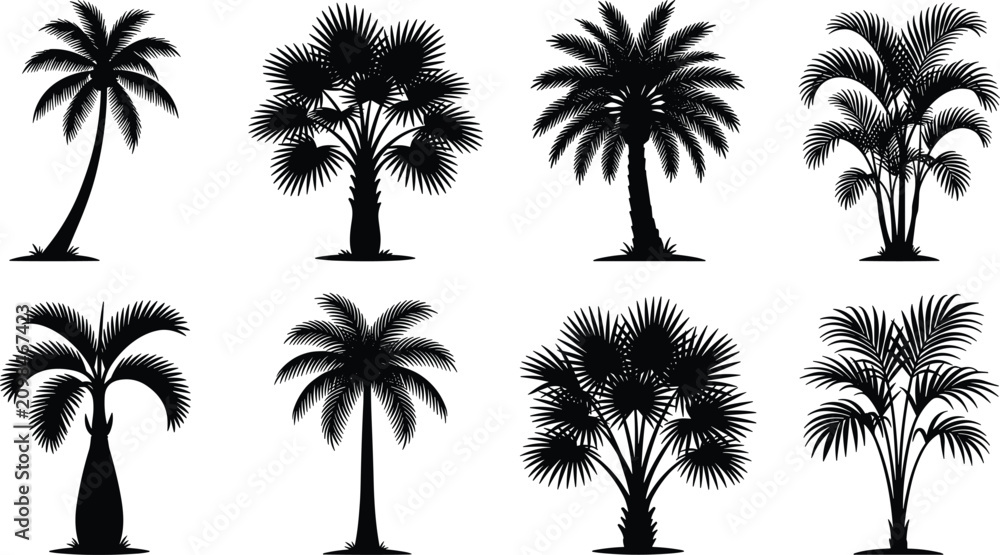 Fototapeta premium set of palms