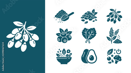 Cuadro en lienzo Superfood vector icons set featuring avocado, kale, goji berries, and organic healthy ingredients
