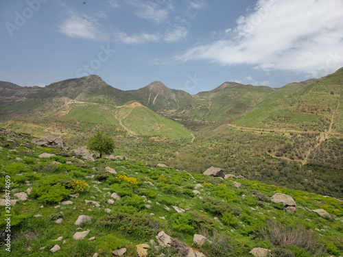 Sweeping spring view of a green mountain valley with a solitary tree, scattered boulders, and yellow wildflowers under a bright blue sky.
📍 Hawraman Takht, Kurdistan, Iran 